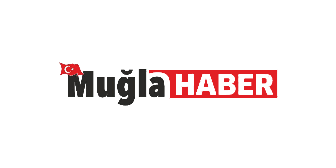 Datça’da Badem Hasadı Sürüyor