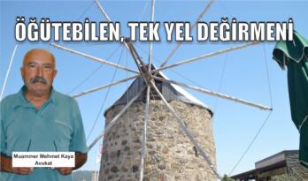 Öğütebilen, Tek Yel Değirmeni