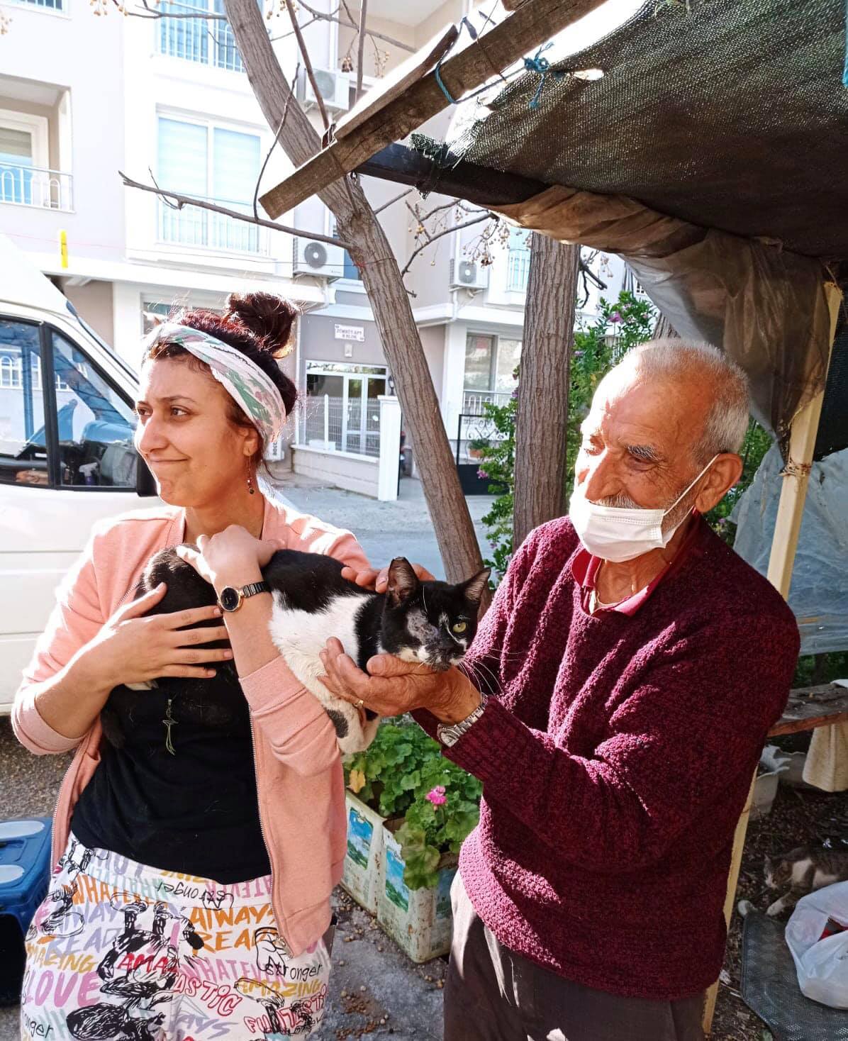 Yaralı kedi yuvasına kavuştu « Muğla Haber Gazetesi