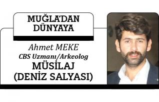 MÜSİLAJ (DENİZ SALYASI)