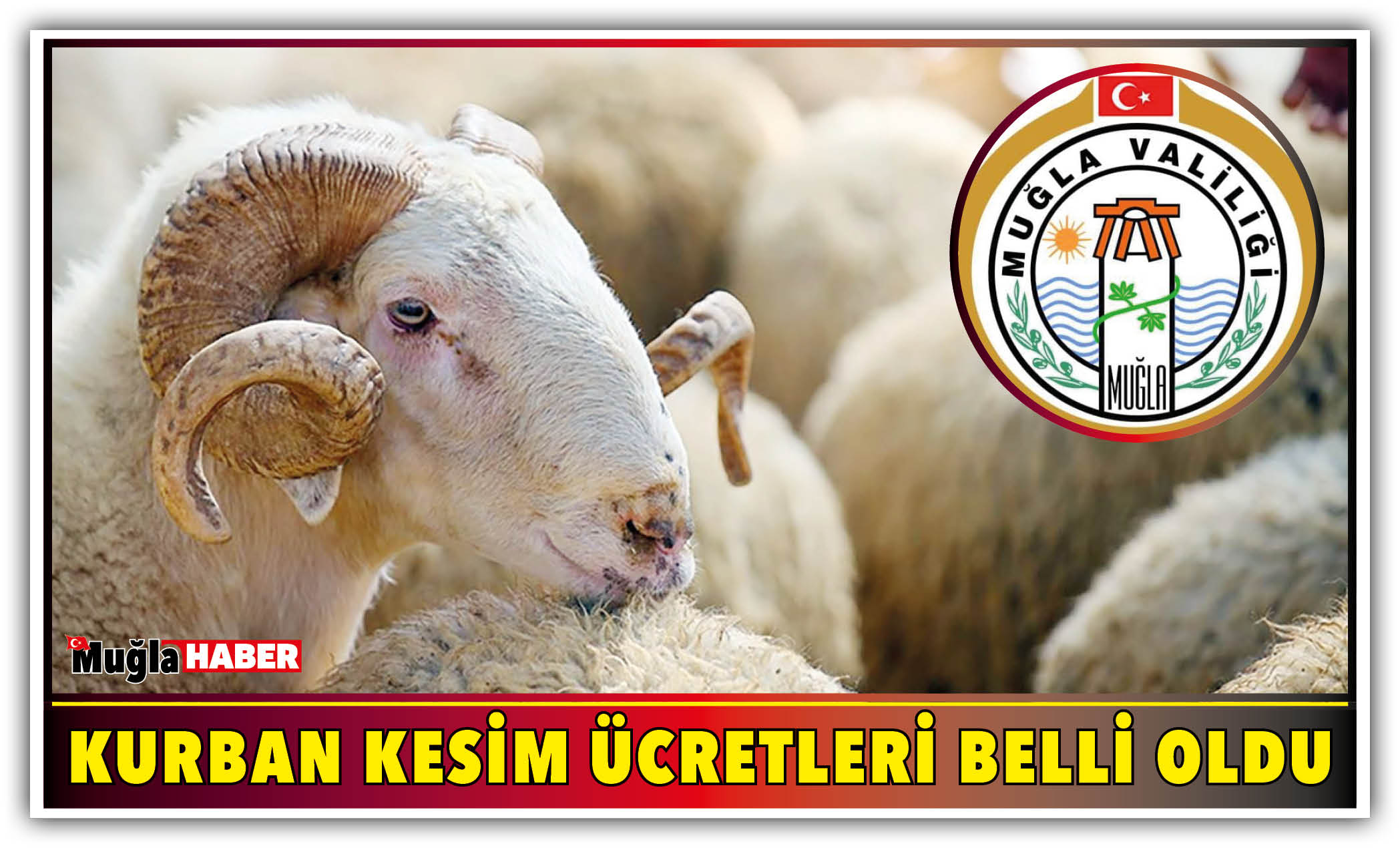 KURBAN KESİM ÜCRETLERİ BELLİ OLDU « Muğla Haber Gazetesi